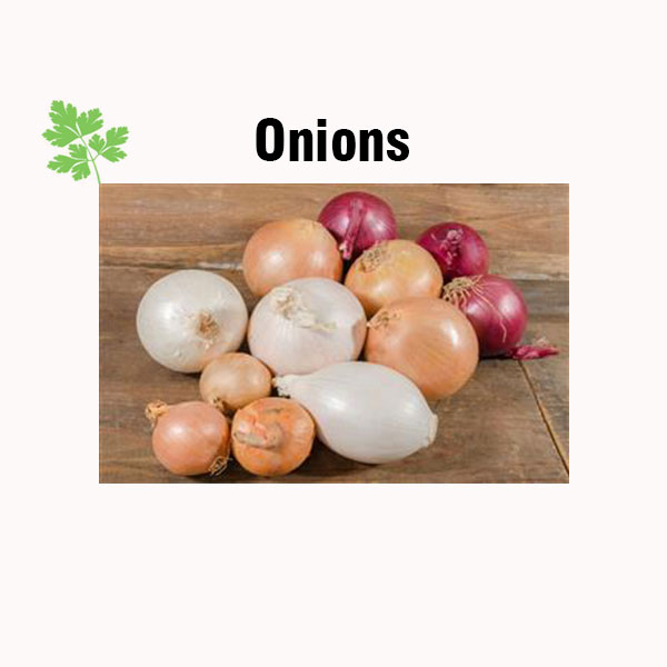 Onions nutrition facts