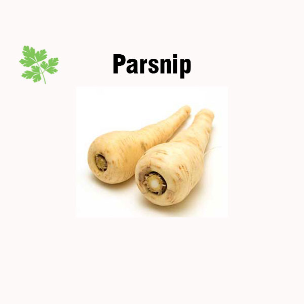 Parsnip nutrition facts