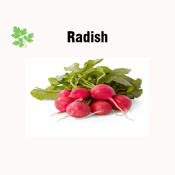 Radish nutrition facts
