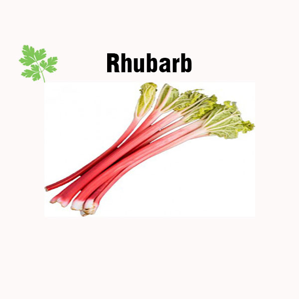 Rhubarb nutrition facts