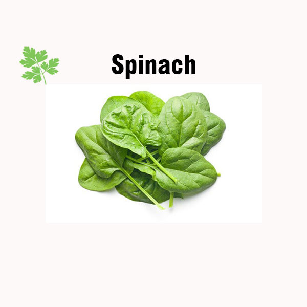 Spinach nutrition facts