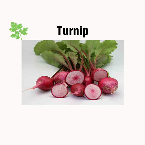 Turnip nutrition facts