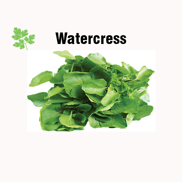 Watercress nutrition facts