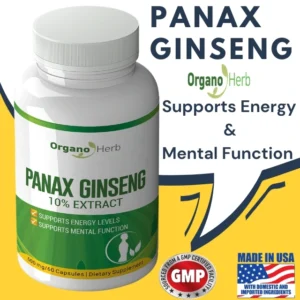 Panax Ginseng