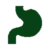 Green digestive health icon