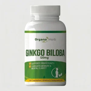 front view bottle render of organo herb ginkgo biloba 60 capsules