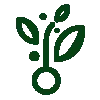 Green herbal superfoods icon