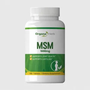 front view bottle render of msm 1000mg 100 tablets