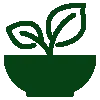 Green organic products icon